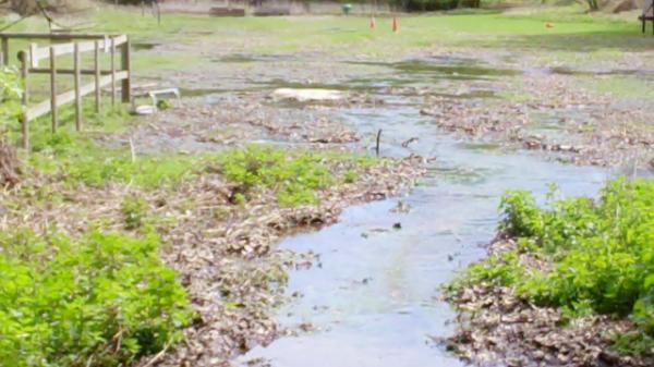 The playing field underwater