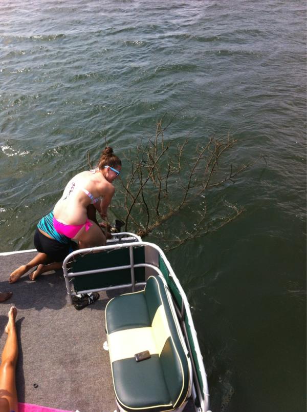 mnlee04's tweet image. #problem2 anchor stuck in a tree