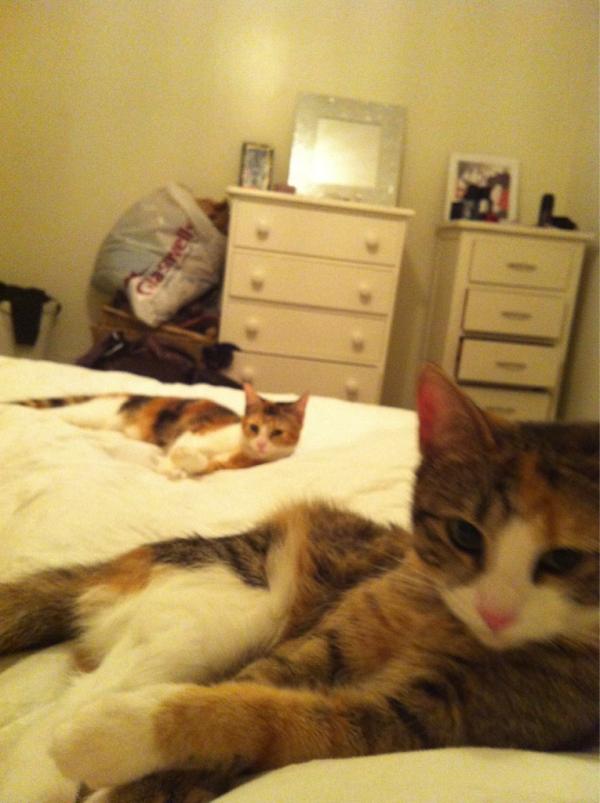 charlyy999's tweet image. #mightfallasleep zzzzzzz