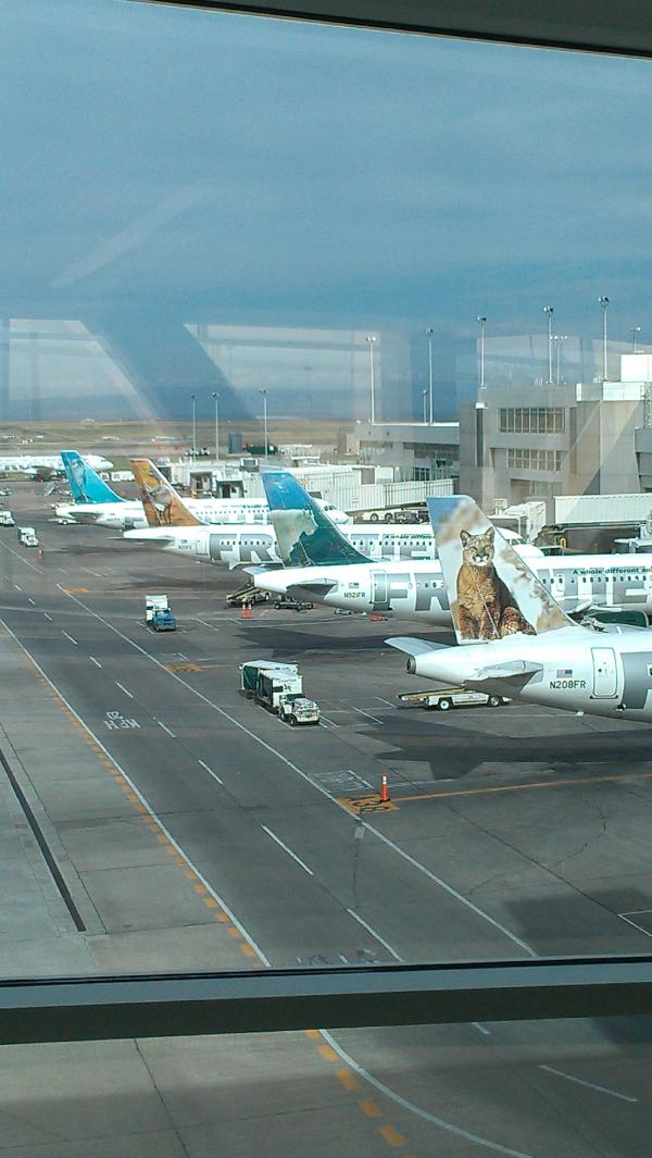 FlyFrontier's tweet photo. If you’re flying out of DEN today, stop by the bridge to Concourse A for some great wildlife viewing! #FrontierAnimals http://t.co/UObIAGSu