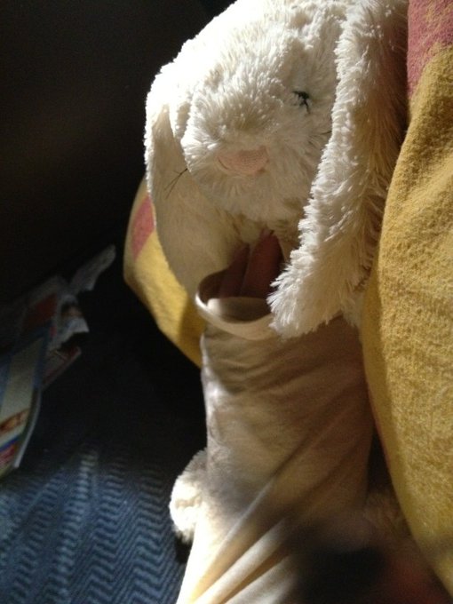 Good night from bed with mine "bunny" http://t.co/noIi6SqF<a href="/tag/fruit"class="tags"><span>#fruit</span></a>