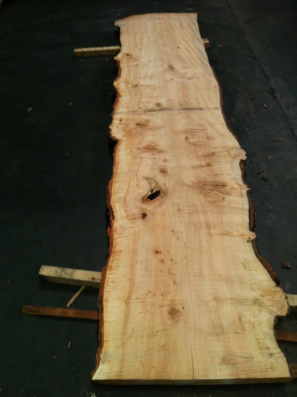 EarthSourceFP tweet picture