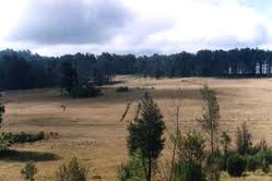 infopendaki's tweet photo. #Cikasur http://t.co/d3NpaFIB