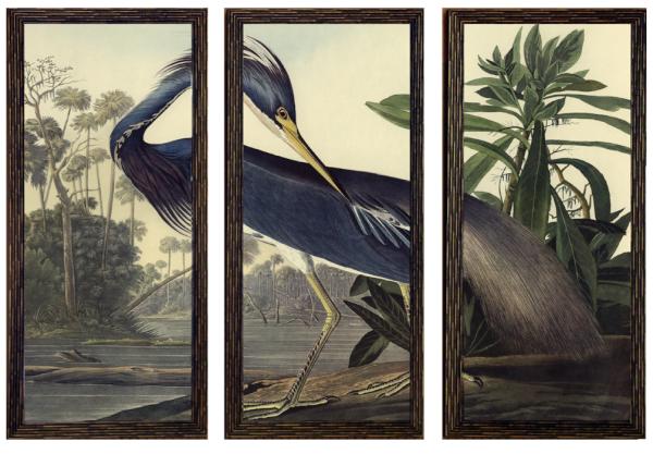 ImageOnThat's tweet image. Just finished an amazing Audubon Triptych