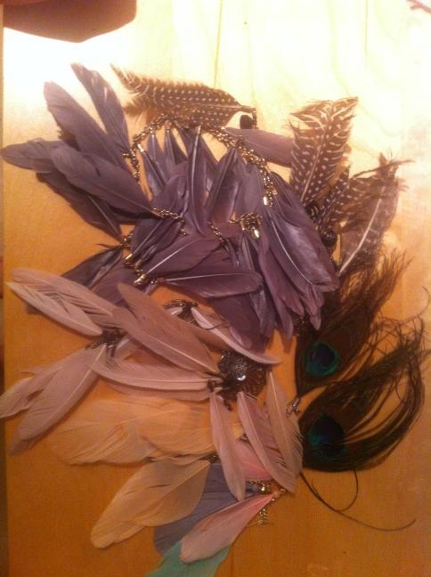 Which feathers to go for today #featherfetish