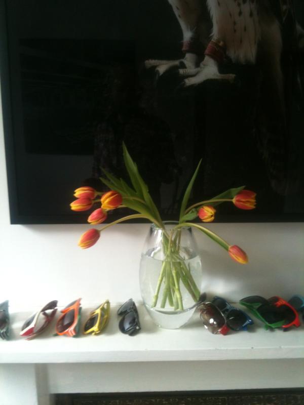 LFSquared's tweet image. @annekirkbride You think your droopy hyacinths were bad...