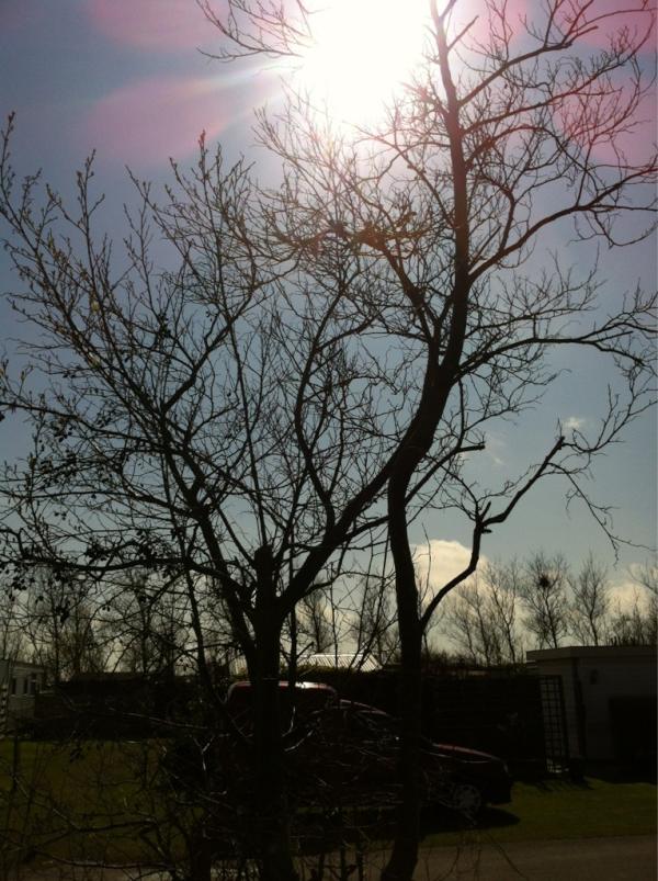 RT <a href="/runningmarcel/">Marcel</a>: Schitterend weer hier <a href="/callassande/">Camping Callassande</a> #fb