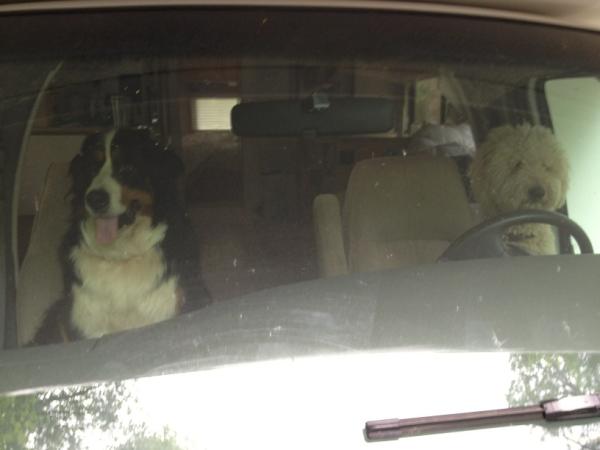 jimoby's tweet image. Camping with my peeps.