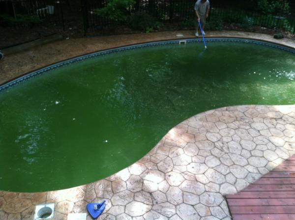 clarelfitz's tweet image. Pools open!! And it looks oh-so inviting!! #gotcleaningtodo #swimmingsoon