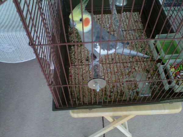 Sydglover's tweet image. “@JackieWegner: Remember Puff?! #omg #memories #iwasweird http://t.co/Hr7nr7tB” lmao remember your song?