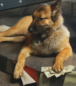 SashaStarcraft's tweet photo. @_@ $200, now THAT'S gangsta! #hubbahubba @NASL_Chance @nasltv http://t.co/yHhRhG5k
