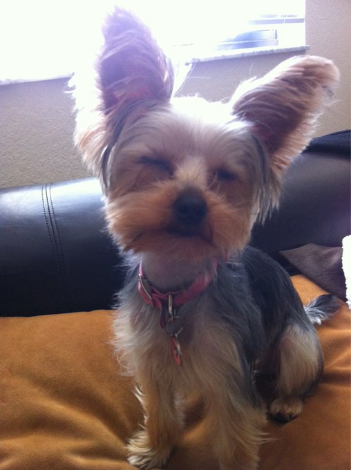 Watch Shelby Chesnes's leaked NSFW photo on TwXstars