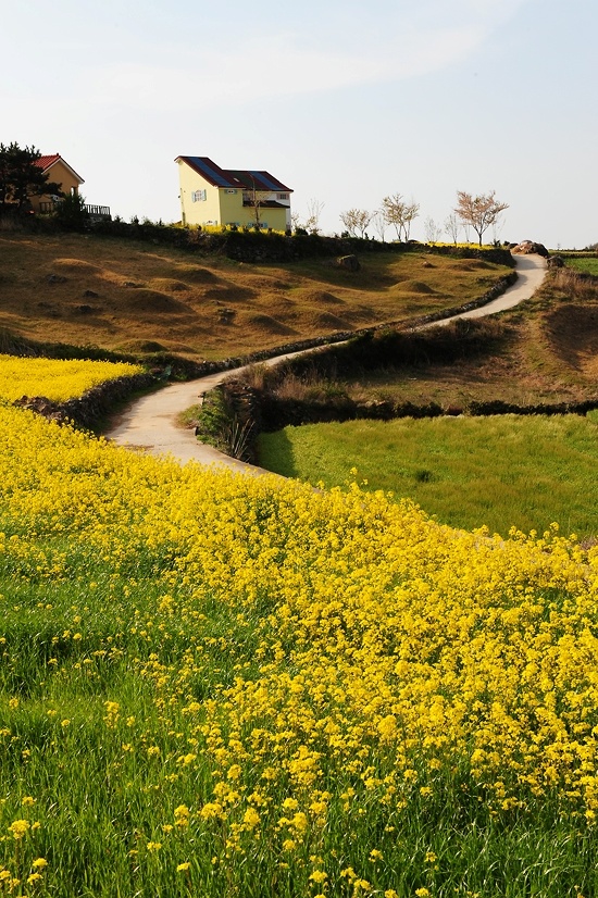 wshjong's tweet photo. @Kor_Visitkorea 우리나라에도 이렇게 아름다운 곳이 있다니... 아시아 최초 슬로시티 청산도의 봄... http://t.co/6JAijSJL