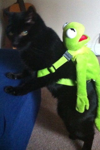 jpmharrop's tweet photo. George with his new back-pack... http://t.co/D945VND6