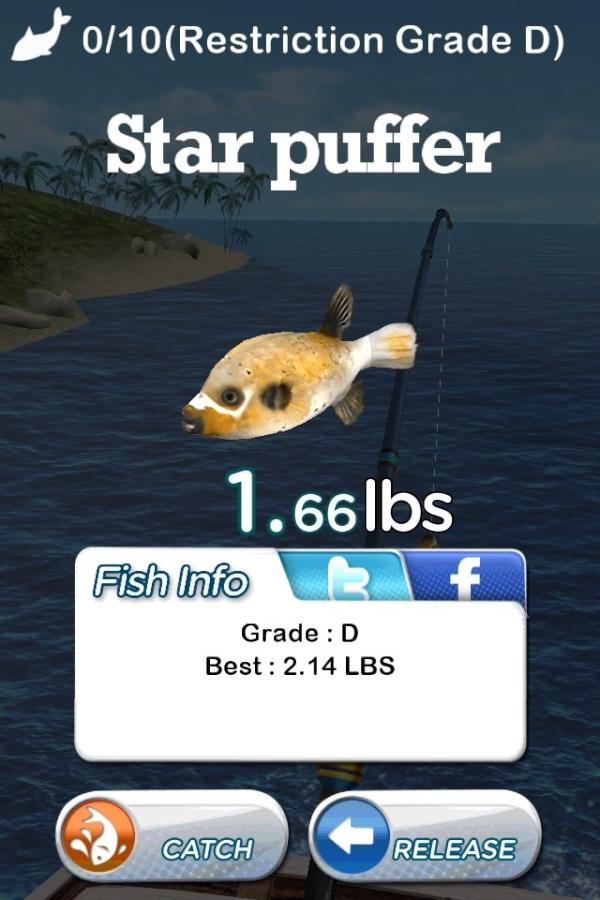 etmoraes's tweet photo. I caught 1.67 lbs of Star puffer http://t.co/8DHUl5w8 http://t.co/fcZgDYvs