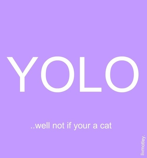 Victoria Rivas (@victoriabrivas) on Twitter photo 