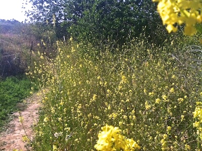 AxiomProject's tweet image. Earth~ Such an amazing planet that we are happy to share with you! #earthday