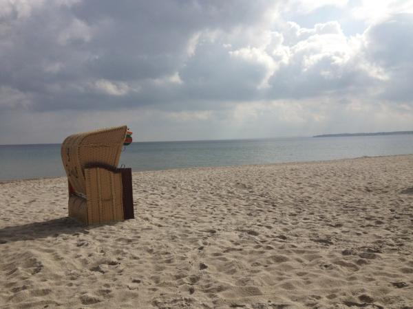 MuussM's tweet image. 