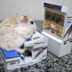 Photo by GAME Australia (@GAMEAus)