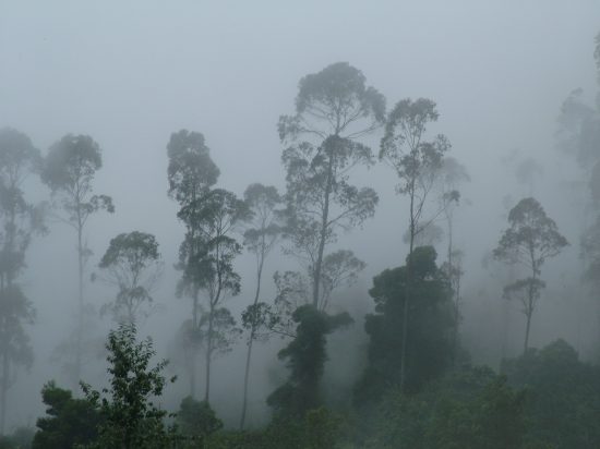 RantheSophsta's tweet photo. Weather changes so frequently! There's a slight mist in the air.. http://t.co/kngWZlJx
