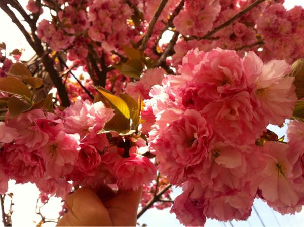 aracho326 tweet picture
