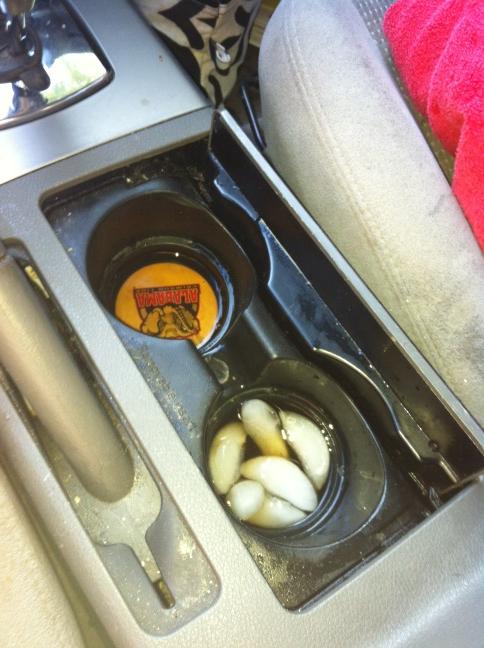 Megan_S_Green's tweet image. How I am starting my Monday... #needtogobacktobed