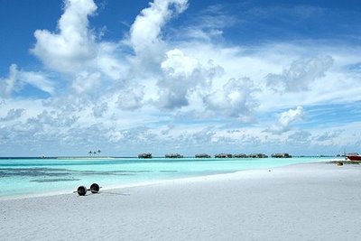 AvitiaT's tweet photo. http://t.co/s7Y7kRL5