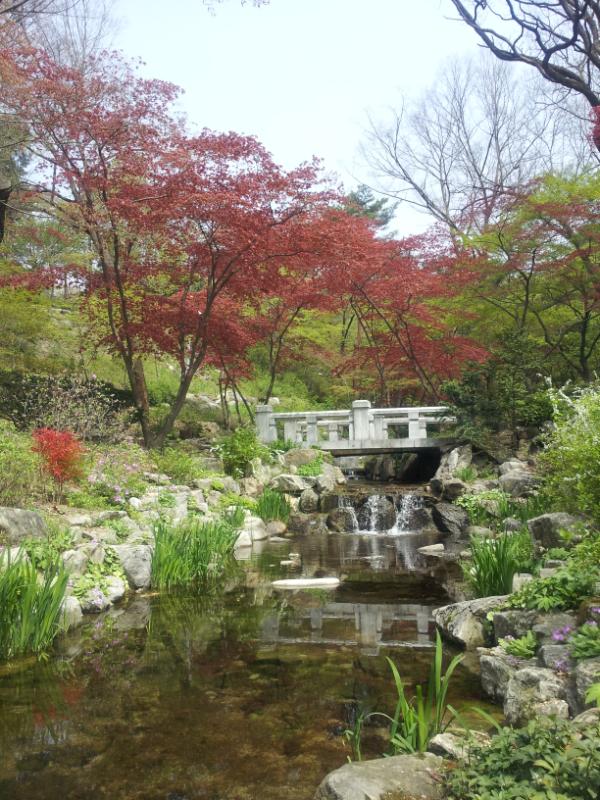 bhpark1515's tweet photo. 우리부서 아름다운  녹지원 소개ᆢ 설악산 계곡이 부럽지안씁니다ᆞ세상은 시끄러워도 말입니다 ᆢ http://t.co/BINRAeRm