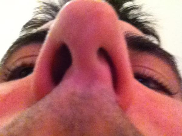 Sera este el comienzo del fin de la paloma?