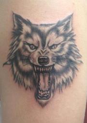 TopNotchtatts's tweet image. 