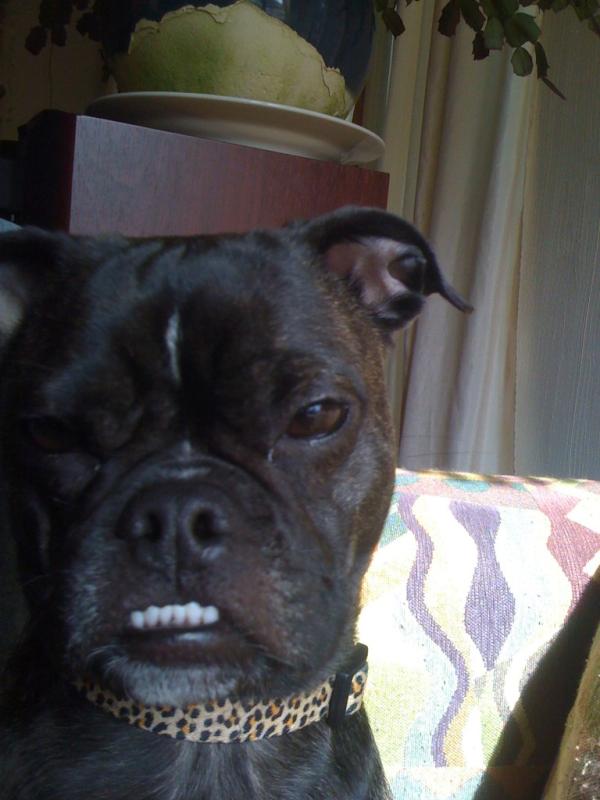 jakeDuB64's tweet photo. #WhatBrightensUpMyDay marble http://t.co/KZZh1f35