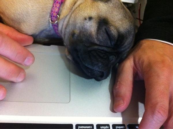 yanieglarent's tweet photo. @ridai_m también te extraña! http://t.co/akmr4XVD