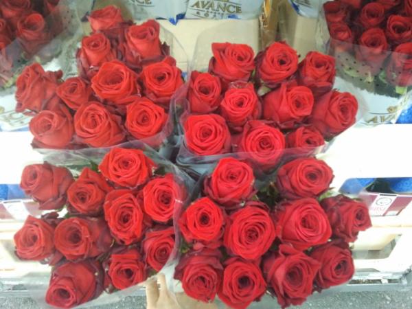 avanceroses's tweet photo. Top view red naomi! @ avance-roses.nl http://t.co/VuSitjEa