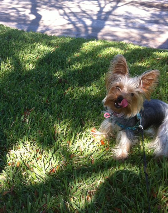 Watch Shelby Chesnes's leaked NSFW photo on TwXstars