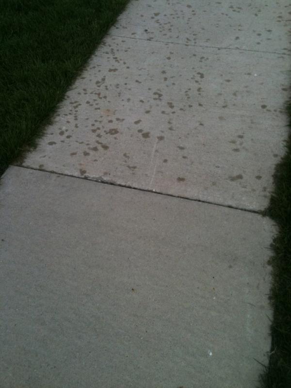 Blake_Essex29's tweet image. What the hell?! #itsiowa