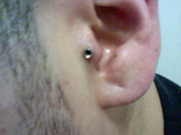 TopNotchtatts's tweet image. Tragus Piercing Stretched to 10g