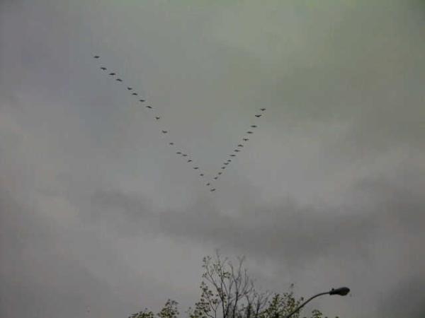 conradaddanhour's tweet image. Big night for the #bruins. Time for some #game7magic and a little bit of the v.