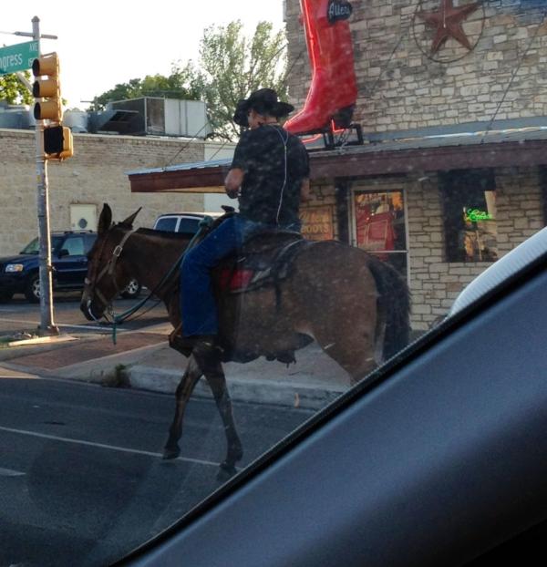 This guy riding a donkey down south Congress, in the bike lane, texting and listening to an iPod is winning at Austin.