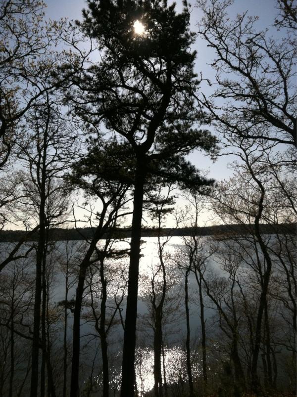 CapeCodStoners's tweet photo. Dude it's so nice out. . 
Mashpee Wakeby Pond 
#stonernation http://t.co/JgPLswjY
