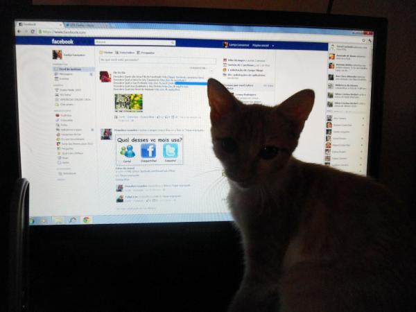 Lari_lassance's tweet photo. Mãe deixa eu entra no meu face tbm .. http://t.co/Sy6lgzeD