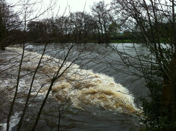 It's a bit full , think I'll give fishing a miss tonight !!!!