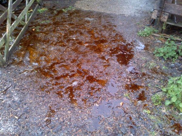 weezierowe's tweet image. The river of horse poo running through my yard #nuisanceneighbours