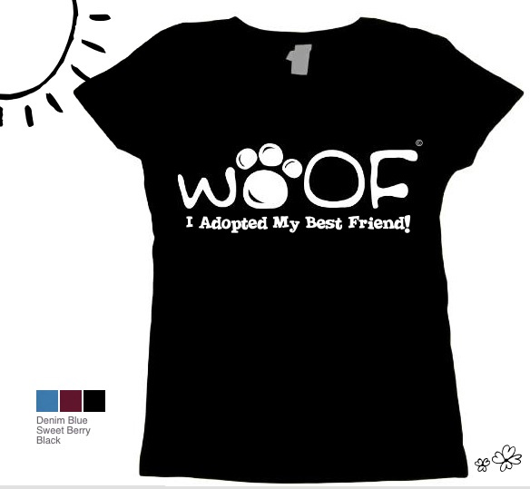 Simple Dog tweet media