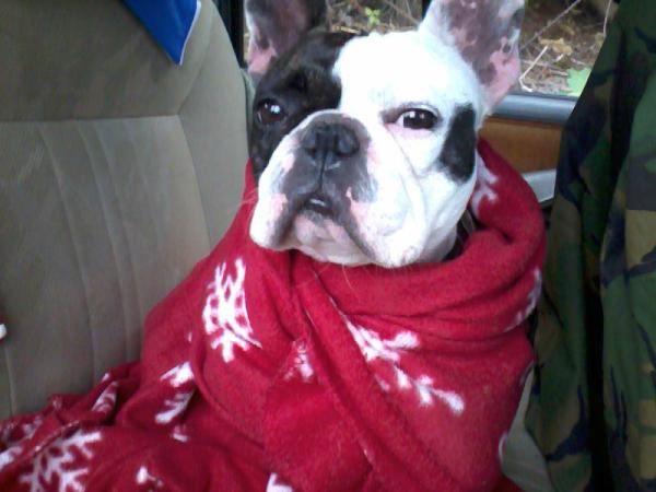 MilaKFake's tweet photo. My gorgeous baby girl. http://t.co/nn7JtCw2