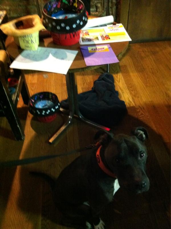 The_Mern's tweet photo. Picasso working his charm at the raffle table @theemptybottle with @audiotreemusic, @NorthwoodsRevo, and @SirMullet http://t.co/XsRDUG2o