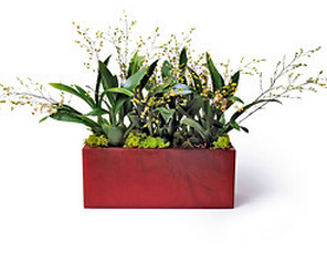 Liven up your home or workplace with beautiful floral arrangements from In Water Flowers. bit.ly/GM9m6I
