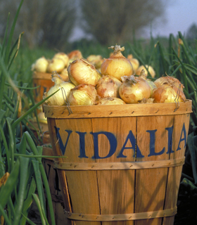 PearsonFarm's tweet image. Vidalia Onions are Here! Be sure to get yours while they last! bit.ly/JrCWT2