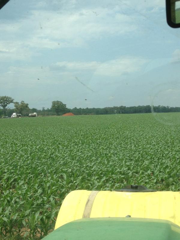 tann3r_thanyou's tweet image. #smithfarm #twinrow #fakerain  makes corn @msmithjackson @twitter less m smith a #greatAmericanFarmer