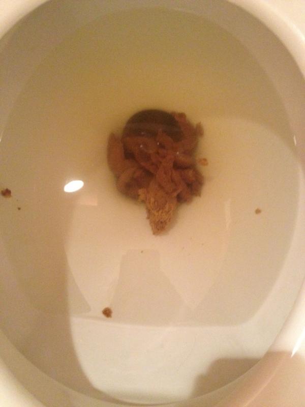 Pooping_Problem's tweet image. #clogged #poopingproblems