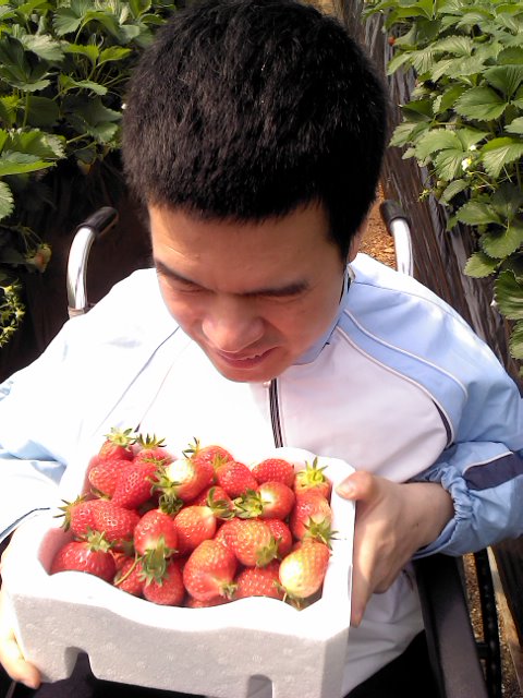 fall_simon's tweet image. 딸기 농장 체험 내가  다 땃어요